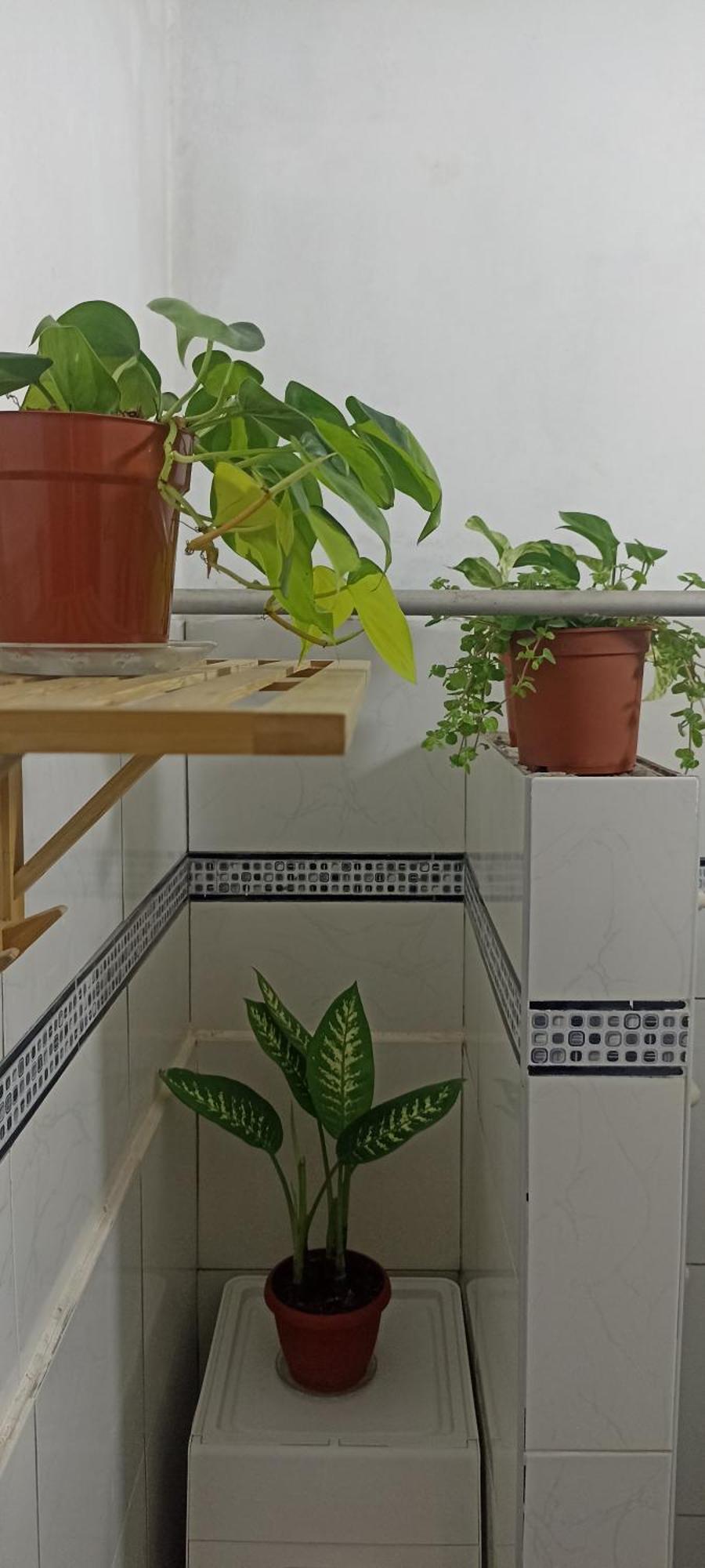 Apartamento Casita Libertad Barranco Lima Exterior foto